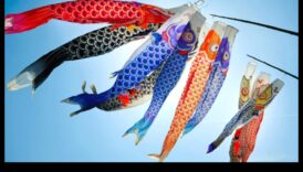 تابع الفولكلور المريب: الخرافات والمعتقدات حول الأسماك