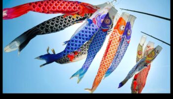 تابع الفولكلور المريب: الخرافات والمعتقدات حول الأسماك