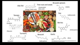 الذكاء البيوكيميائي كيف سوف لعلم الغذاء أن ينير طريقك في العافية المثالية 2 تألق الكيمياء الحيوية: إلقاء الضوء على الصحة من خلال التغذية