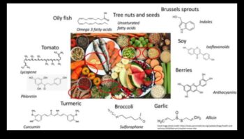 تألق الكيمياء الحيوية: إلقاء الضوء على الصحة من خلال التغذية