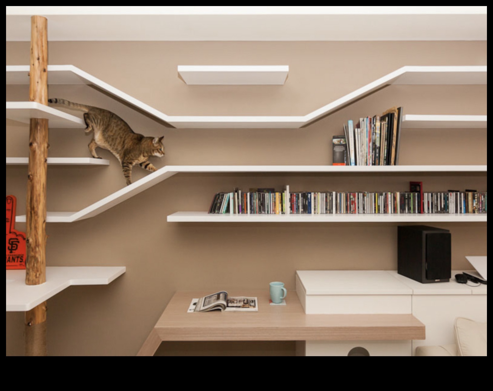 اعترافات المنصة نصائح التصميم الداخلي الأنيق للمنازل الصديقة للقطط 2 اعترافات المنصة: نصائح التصميم الداخلي الأنيق للمنازل الصديقة للقطط