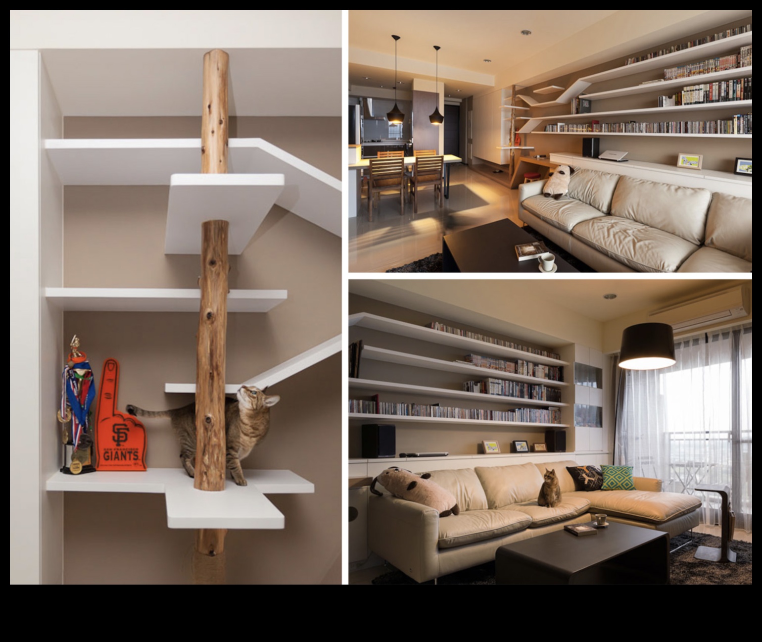 اعترافات المنصة نصائح التصميم الداخلي الأنيق للمنازل الصديقة للقطط 3 اعترافات المنصة: نصائح التصميم الداخلي الأنيق للمنازل الصديقة للقطط