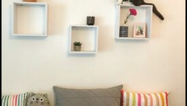 اعترافات المنصة: نصائح التصميم الداخلي الأنيق للمنازل الصديقة للقطط