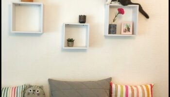 اعترافات المنصة: نصائح التصميم الداخلي الأنيق للمنازل الصديقة للقطط