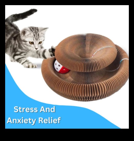 استمرار عجائب الشعيرات: اكتشاف ملحقات جديدة ومثيرة للقطط