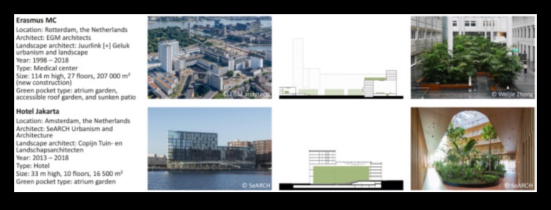 التصميم من أجل الغمر الأخضر: فن وعلم الاستكشاف الإبداعي المستدام