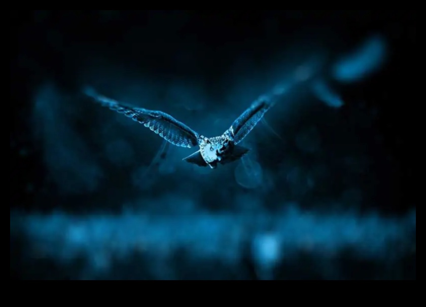 استمرار النشرات الليلية: تكيفات الطيور النشطة في الإضاءة المنخفضة