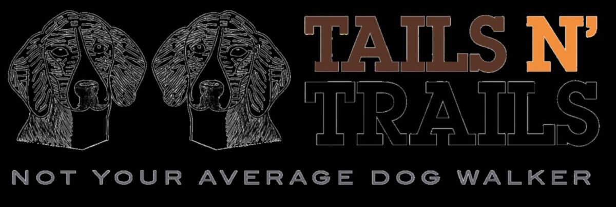 ذيول ومسارات: مغامرات في الهواء الطلق للكلاب