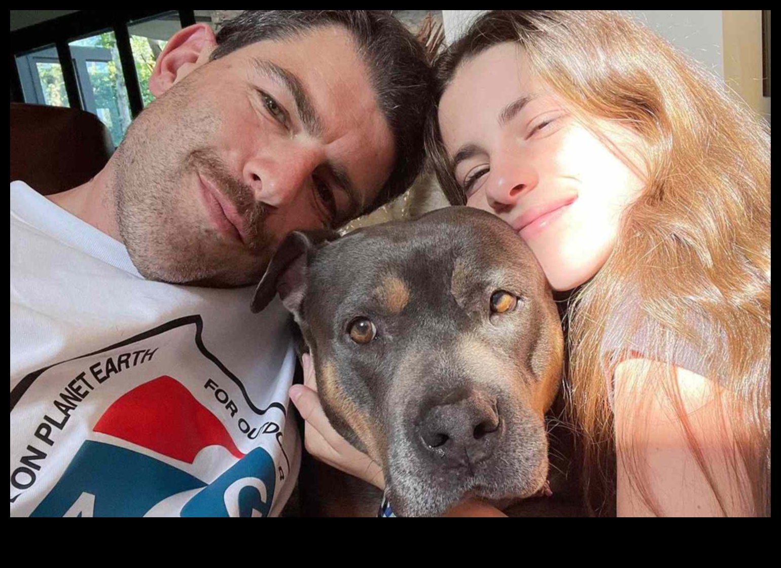 نجوم المأوى: اعتماد قصص نجاح كلب الإنقاذ