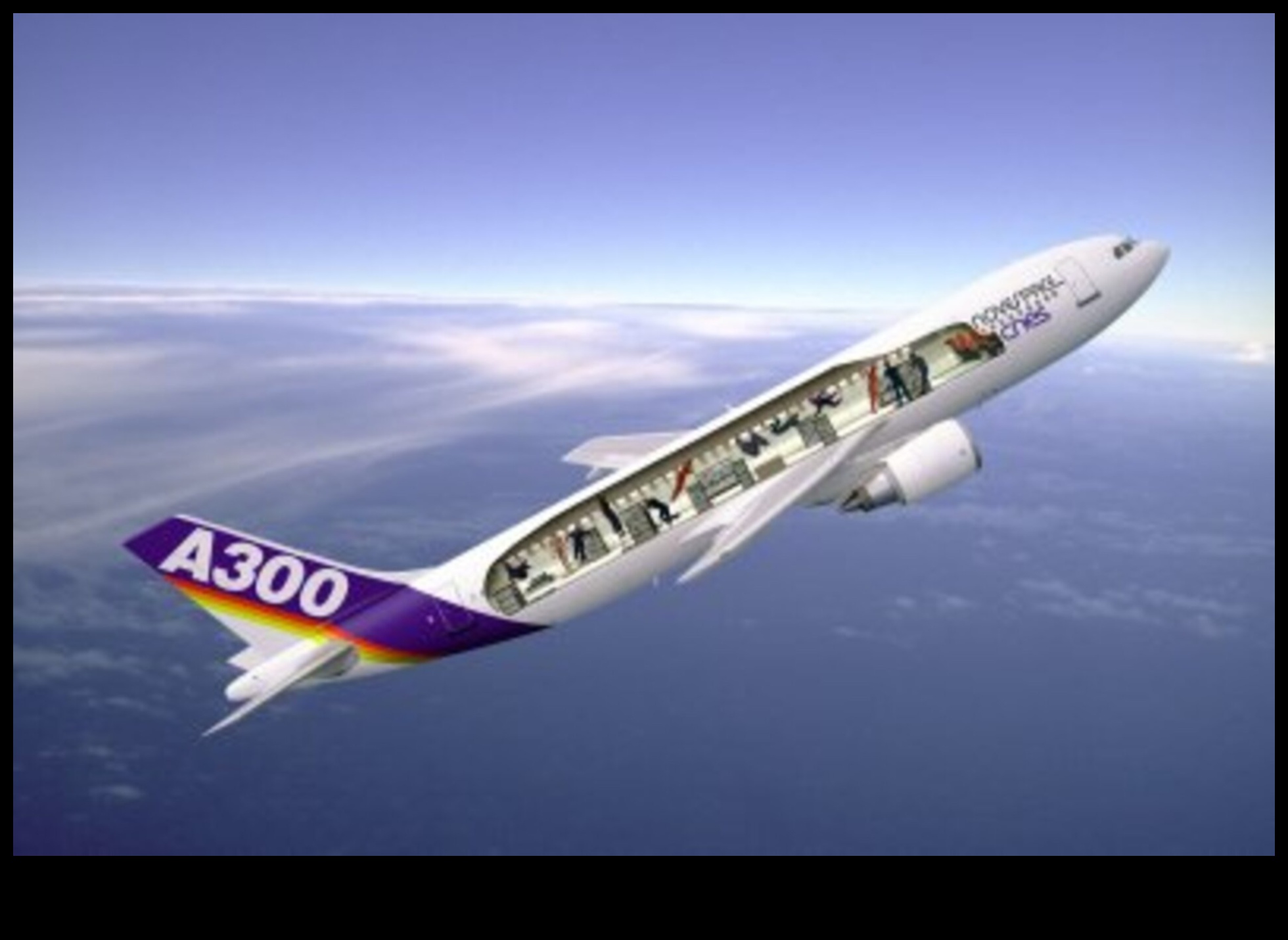 نعيم انعدام الجاذبية: الاستمتاع بمتعة انعدام الوزن خارج الأرض