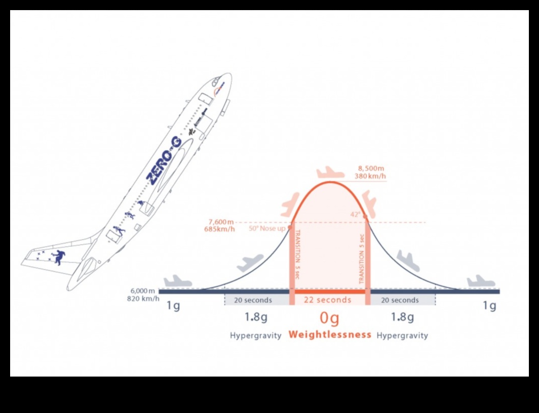نعيم انعدام الجاذبية: الاستمتاع بمتعة انعدام الوزن خارج الأرض