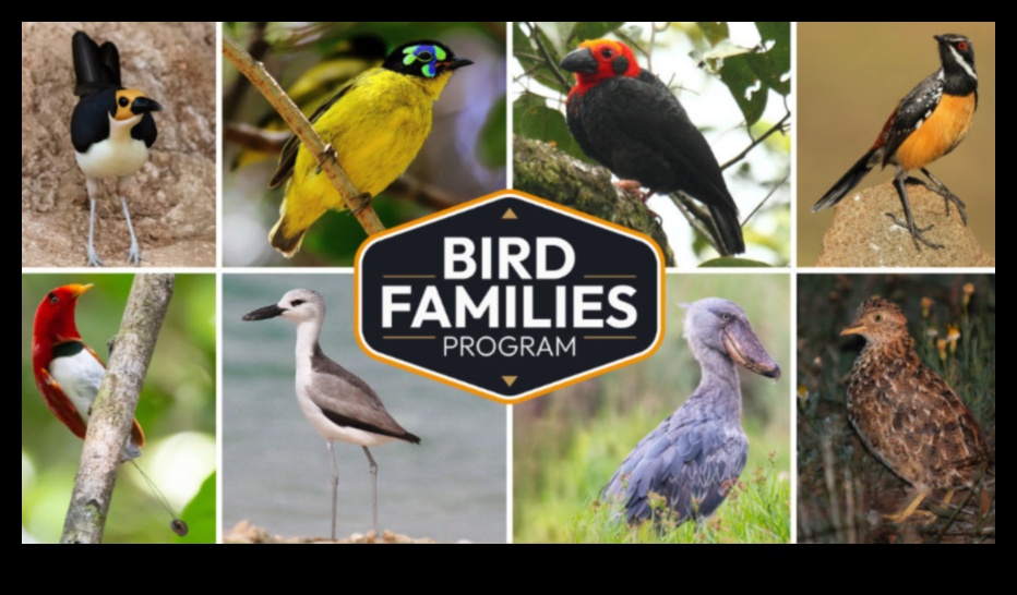 رحلات الطيور البرية: استكشاف الموائل المتنوعة للأنواع المتنوعة