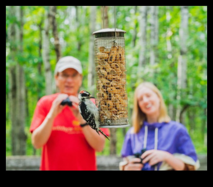 رحلات الطيور البرية: استكشاف الموائل المتنوعة للأنواع المتنوعة