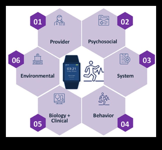 التصميم للصحة الرقمية: سيكولوجية تكنولوجيا المعلومات الصحية التي تركز على المستخدم