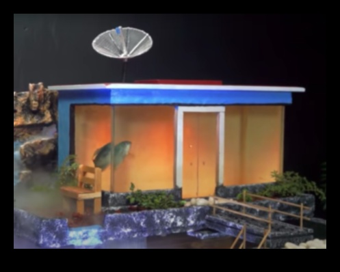 حوض للأسماك DIY: صياغة الديكور والإكسسوارات لأحواض السمك