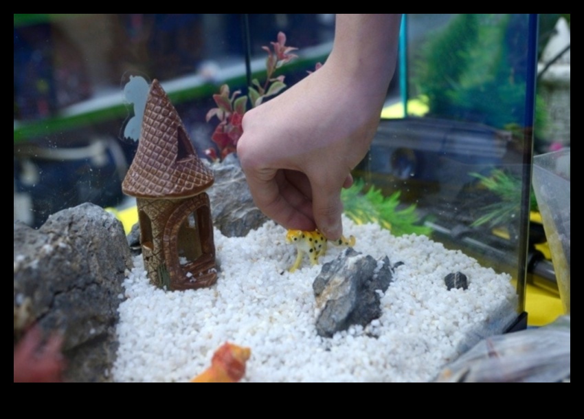 حوض للأسماك DIY: صياغة الديكور والإكسسوارات لأحواض السمك