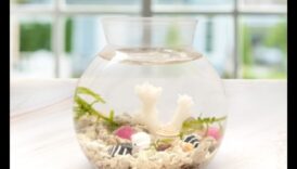 حوض للأسماك DIY: صياغة الديكور والإكسسوارات لأحواض السمك