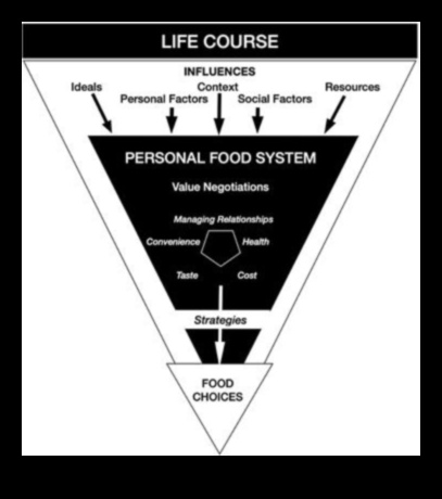 فك رموز القيمة الغذائية: رحلة إلى خيارات غذائية مستنيرة