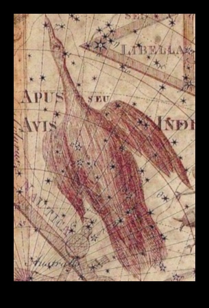الطيور وعلم الفلك أساطير الأبراج مستوحاة من الطيور 4 الطيور وعلم الفلك: أساطير الأبراج المستوحاة من الطيور
