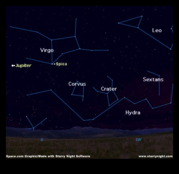 الطيور وعلم الفلك أساطير الأبراج مستوحاة من الطيور 3 الطيور وعلم الفلك: أساطير الأبراج المستوحاة من الطيور