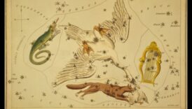 الطيور وعلم الفلك: أساطير الأبراج المستوحاة من الطيور