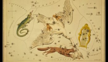 الطيور وعلم الفلك: أساطير الأبراج المستوحاة من الطيور