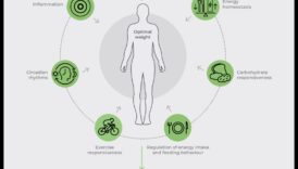 تطلق خطة الفيتامينات للحمض النووي إمكاناتك الجينية لإنقاص العبء والصحة المثالية 2 خطة النظام الغذائي للحمض النووي: التغذية الشخصية مع علم التغذية الجيني