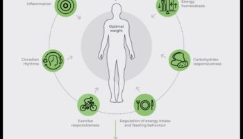 خطة النظام الغذائي للحمض النووي: التغذية الشخصية مع علم التغذية الجيني