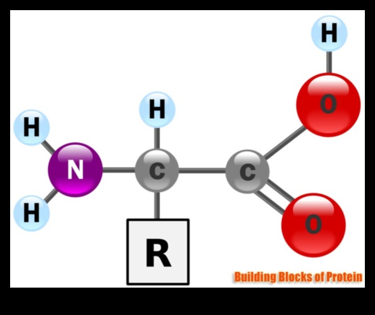 العناصر الأساسية: اللبنات الأساسية للكيمياء الحيوية الغذائية