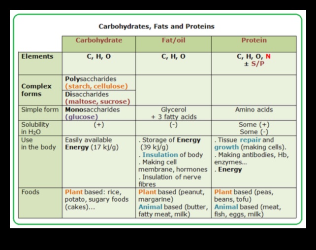 العناصر الأساسية: اللبنات الأساسية للكيمياء الحيوية الغذائية