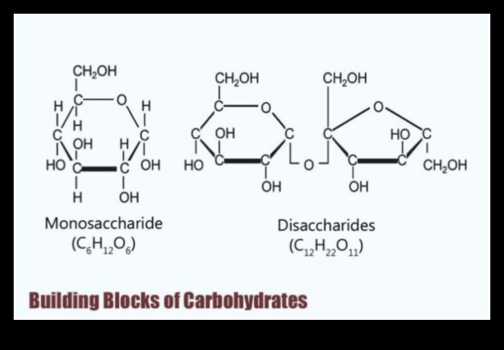 العناصر الأساسية: اللبنات الأساسية للكيمياء الحيوية الغذائية