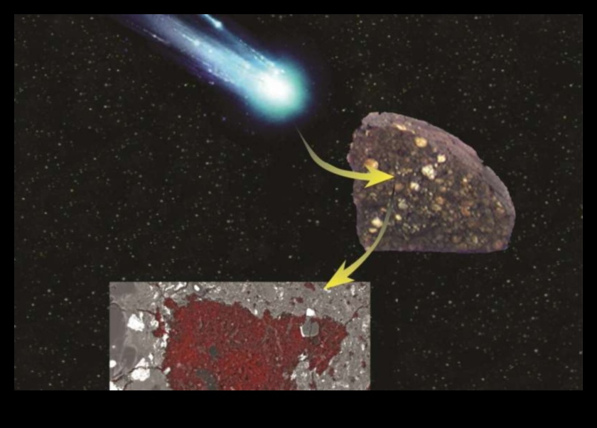 شظايا المجرة: جولة في عالم النيازك المتنوع 3 شظايا المجرة: استكشاف العالم المتنوع للنيازك