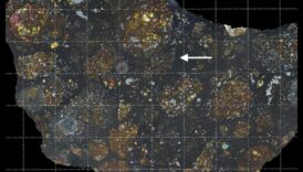 شظايا المجرة: استكشاف العالم المتنوع للنيازك