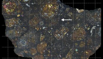 شظايا المجرة: استكشاف العالم المتنوع للنيازك