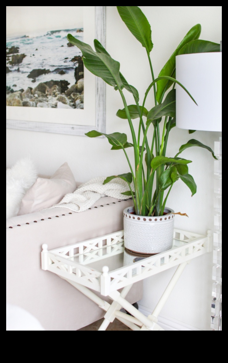 5 طرق سهلة لتبسيط ديكور منزلك 4 تبسيط التزيين: النصائح والحيل الأساسية