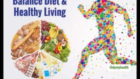 التغذية المتوازنة، الحياة المتوازنة: الحكمة الغذائية للجميع