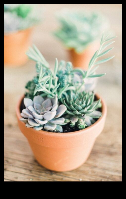 كيف يمكنني دمج الطرق الإبداعية لاستخدام العصارة في الديكور الحديث؟