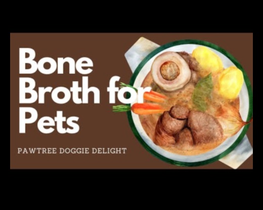 لذيذ بشكل مخيف: وصفات علاج القطط الذواقة