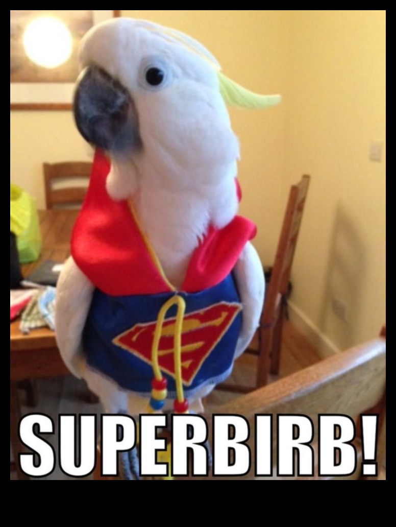 أزياء الأصدقاء ذوي الريش: إكسسوارات أنيقة للطيور الأليفة