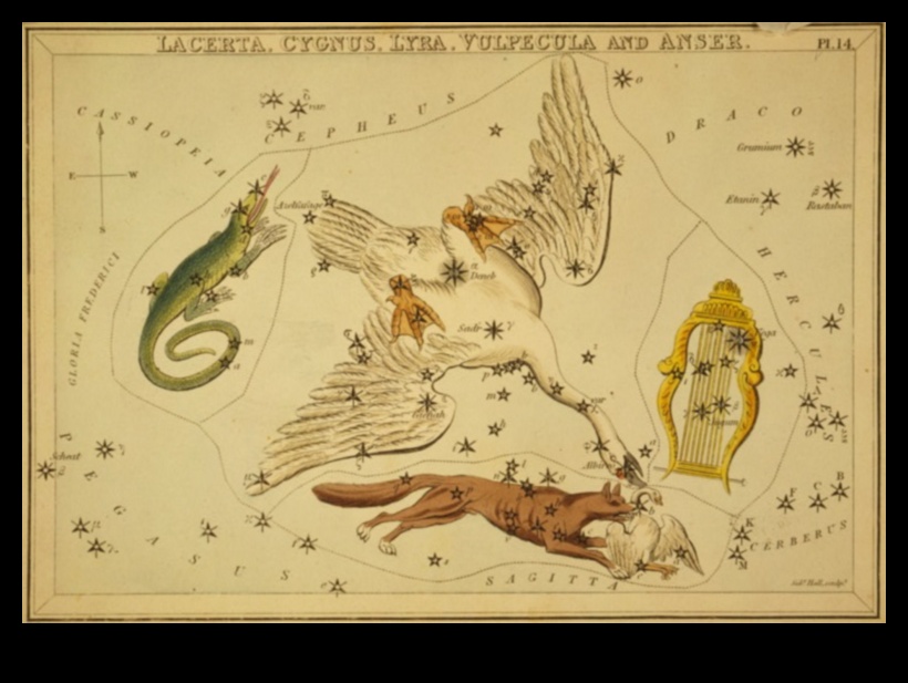 الطيور وعلم الفلك أساطير الأبراج المستوحاة من الطيور 1 الطيور وعلم الفلك: أساطير الأبراج المستوحاة من الطيور