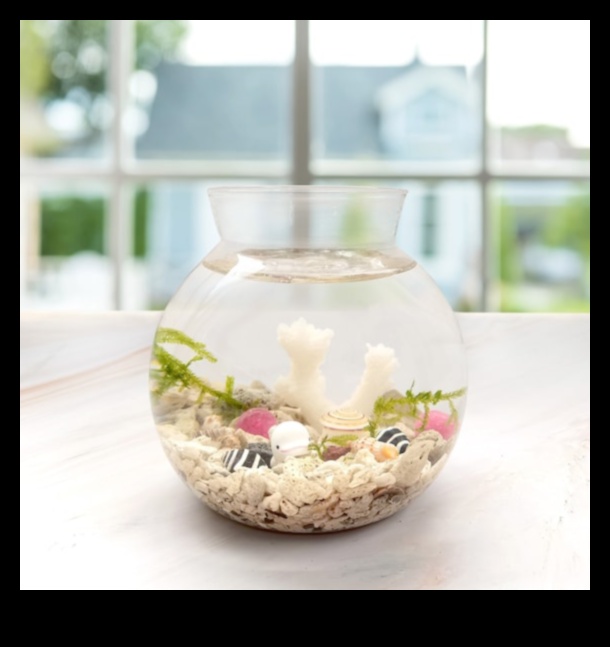 حوض للأسماك DIY: صياغة الديكور والإكسسوارات لأحواض السمك