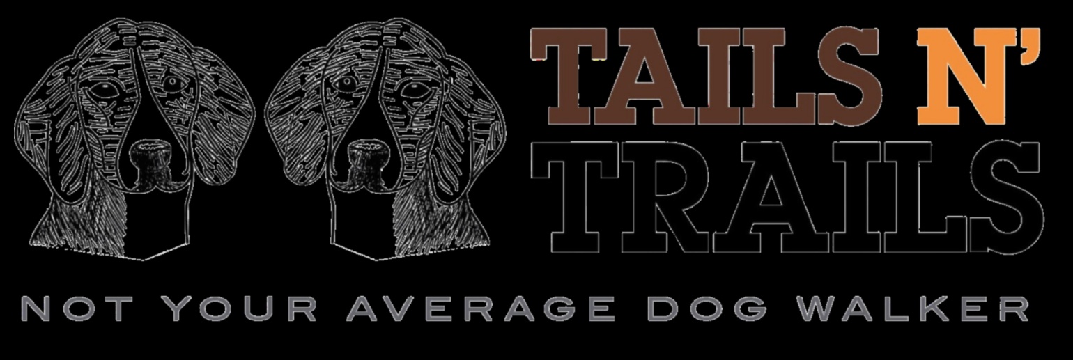 ذيول ومسارات: مغامرات في الهواء الطلق للكلاب