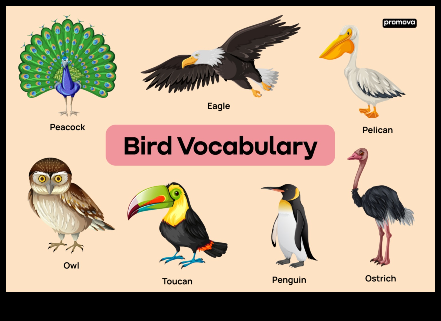 رحلات الطيور البرية: استكشاف الموائل المتنوعة للأنواع المتنوعة